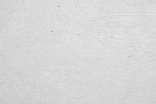 Professional Mold Removal in West University Place, TX